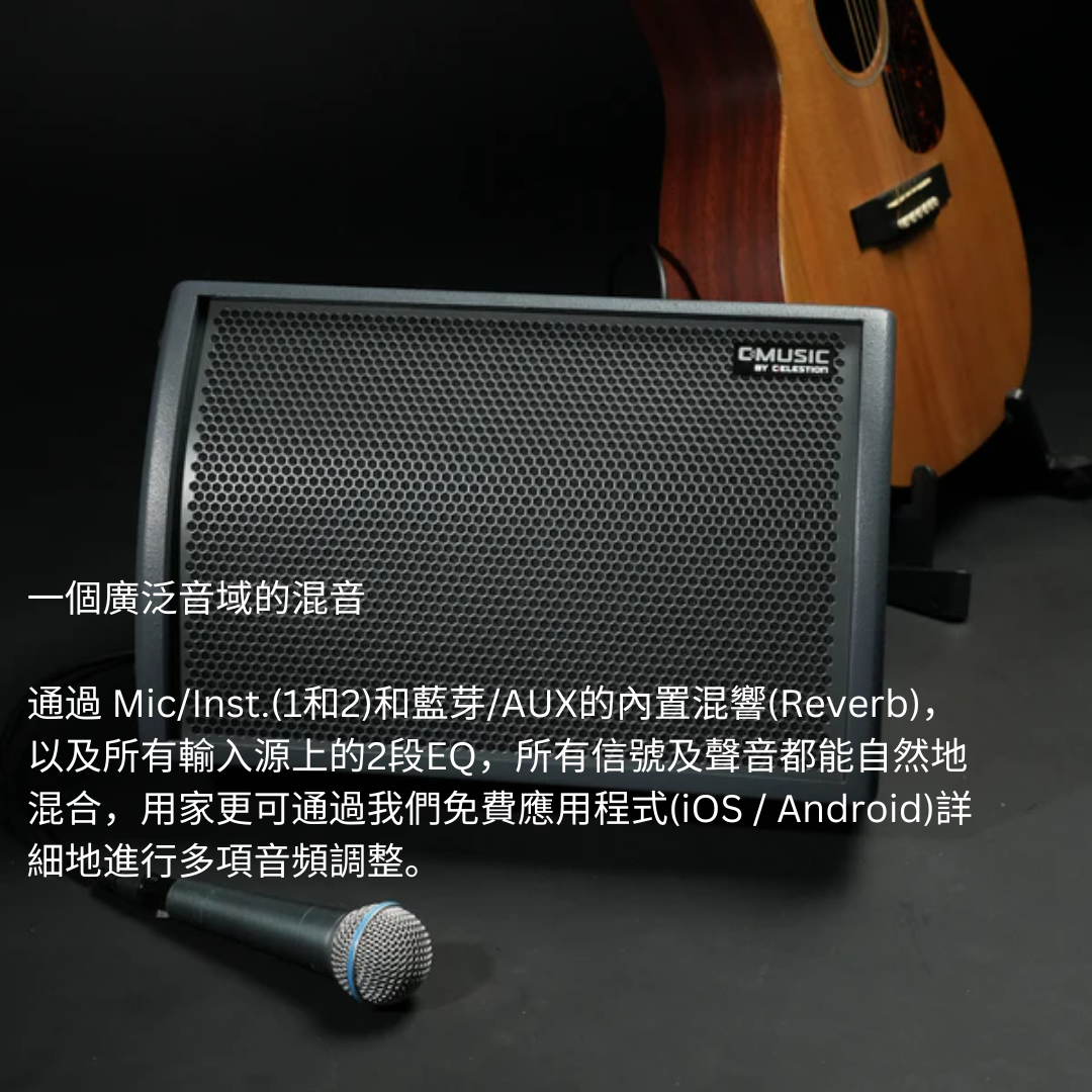C-MUSIC BA28 Busking 套裝:便攜式全功能喇叭 + 2支 U302 wireless mic