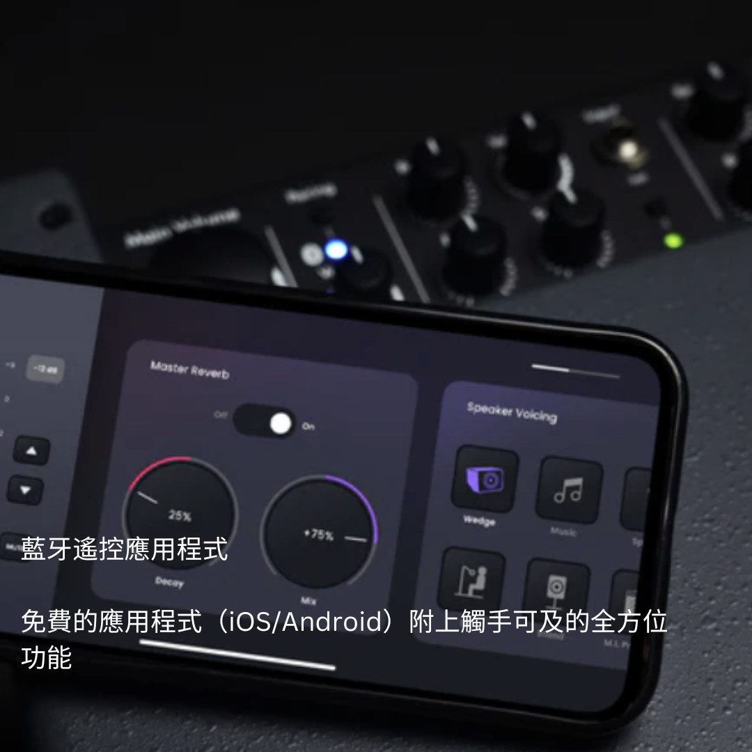 C-MUSIC BA28 Busking 套裝:便攜式全功能喇叭 + 2支 U302 wireless mic