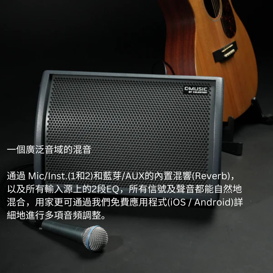 C-MUSIC BA28 Busking 套裝：便攜式全功能喇叭 + 2支 U302 wireless mic