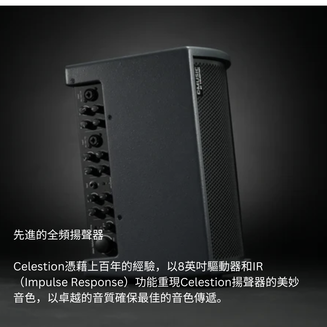 C-MUSIC BA28 Busking 套裝：便攜式全功能喇叭 + 2支 U302 wireless mic